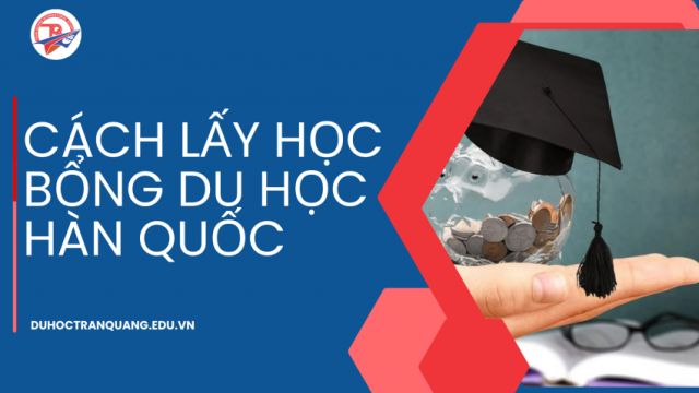 Trần Quang chia sẻ cách lấy học bổng du học Hàn Quốc dễ dàng từ A-Z!